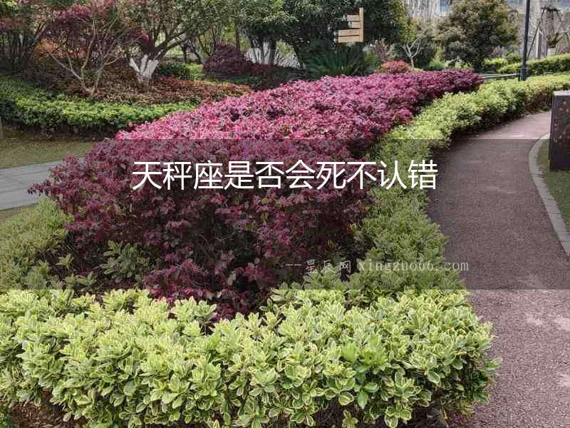 天秤座是否會死不認錯