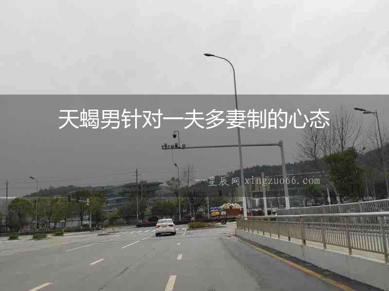 天蝎男針對一夫多妻制的心態(tài)