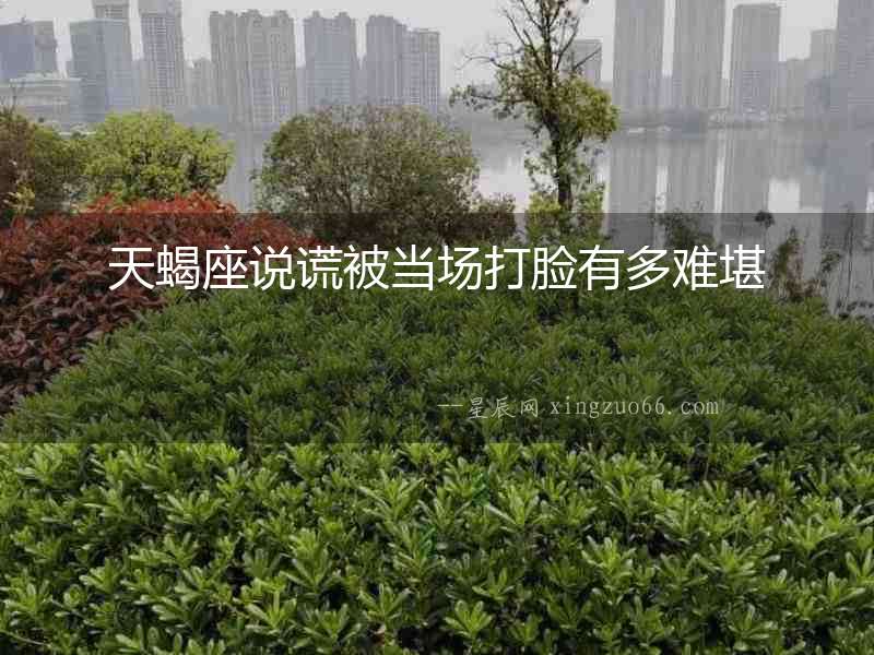 天蝎座說謊被當場打臉有多難堪