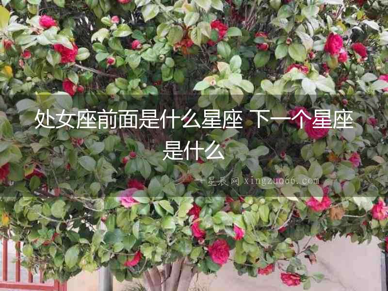 處女座前面是什么星座 下一個星座是什么