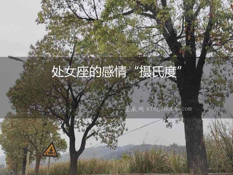 處女座的感情“攝氏度”