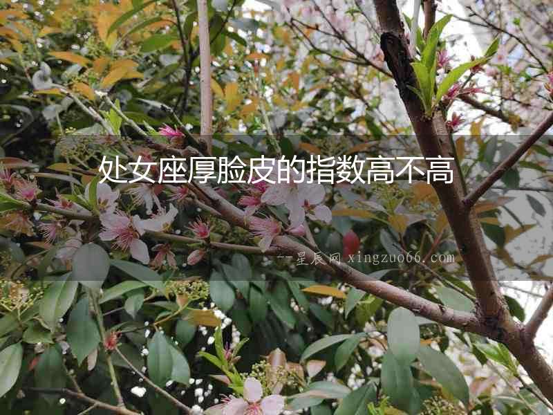 處女座厚臉皮的指數高不高