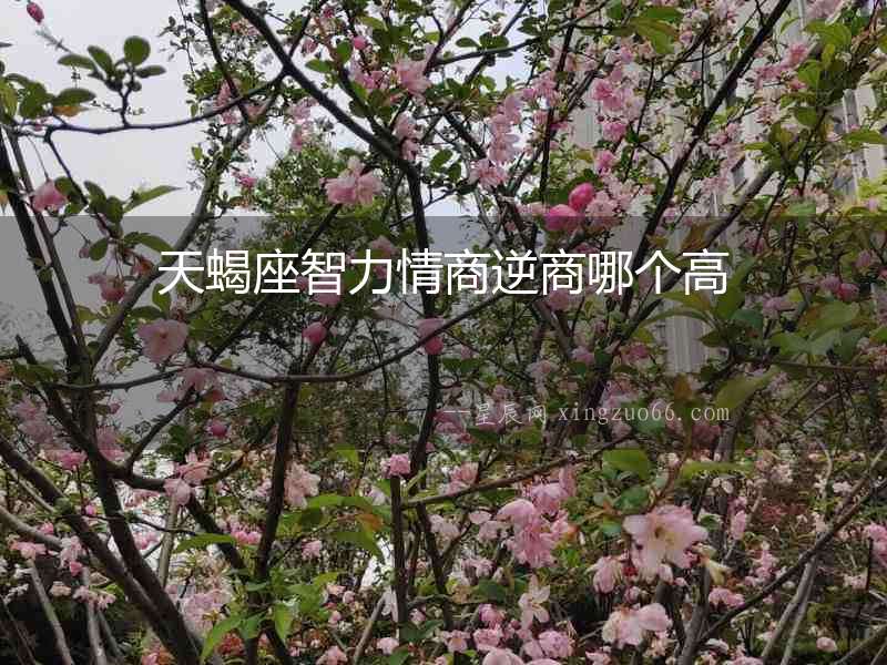 天蝎座智力情商逆商哪個(gè)高