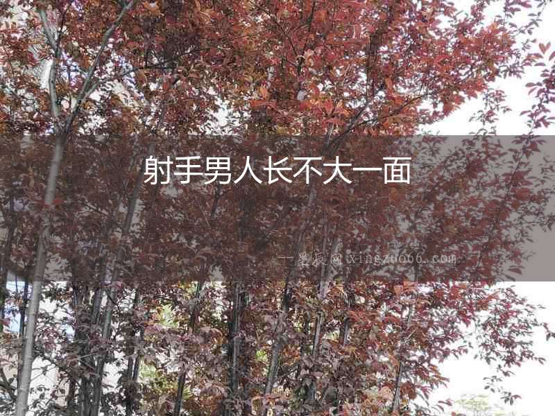 射手男人長不大一面
