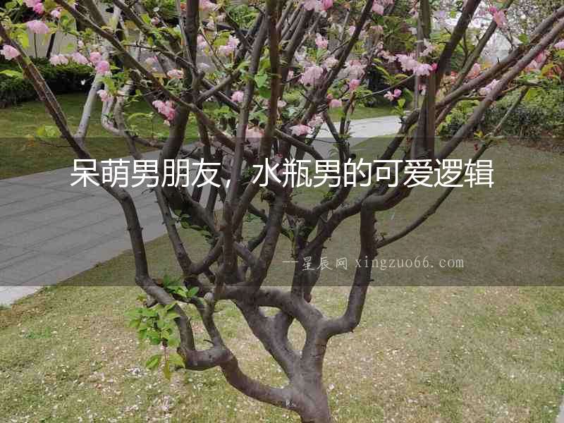 呆萌男朋友，水瓶男的可愛邏輯