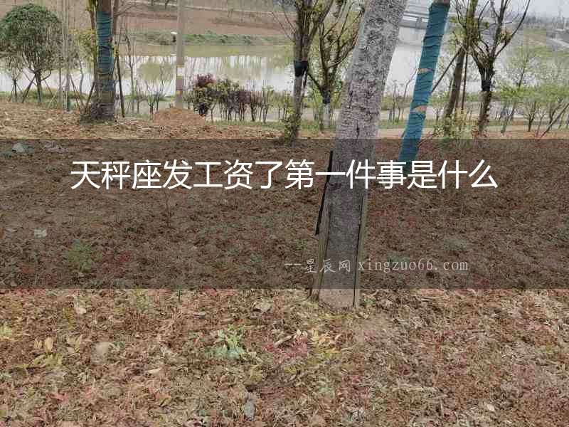 天秤座發(fā)工資了第一件事是什么