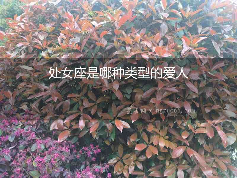 處女座是哪種類型的愛人