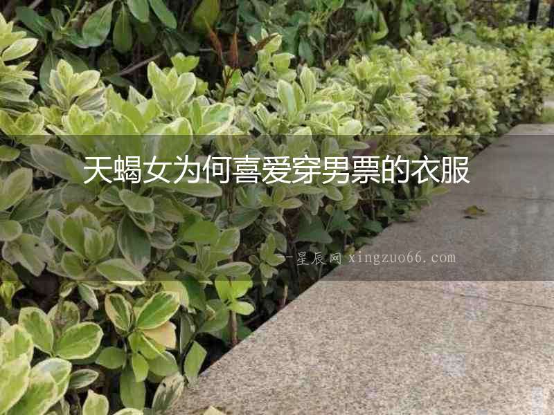 天蝎女為何喜愛穿男票的衣服