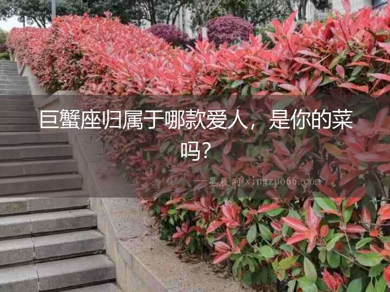 巨蟹座歸屬于哪款愛人，是你的菜嗎？