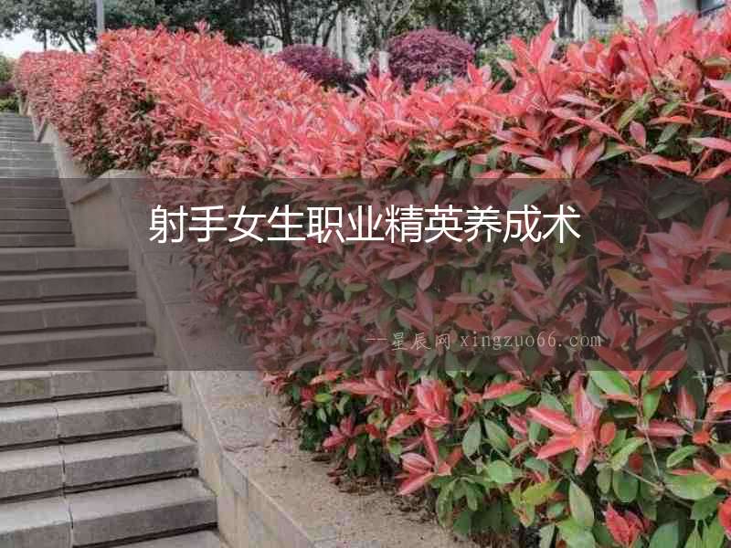 射手女生職業精英養成術