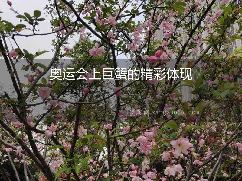 奧運會上巨蟹的精彩體現(xiàn)