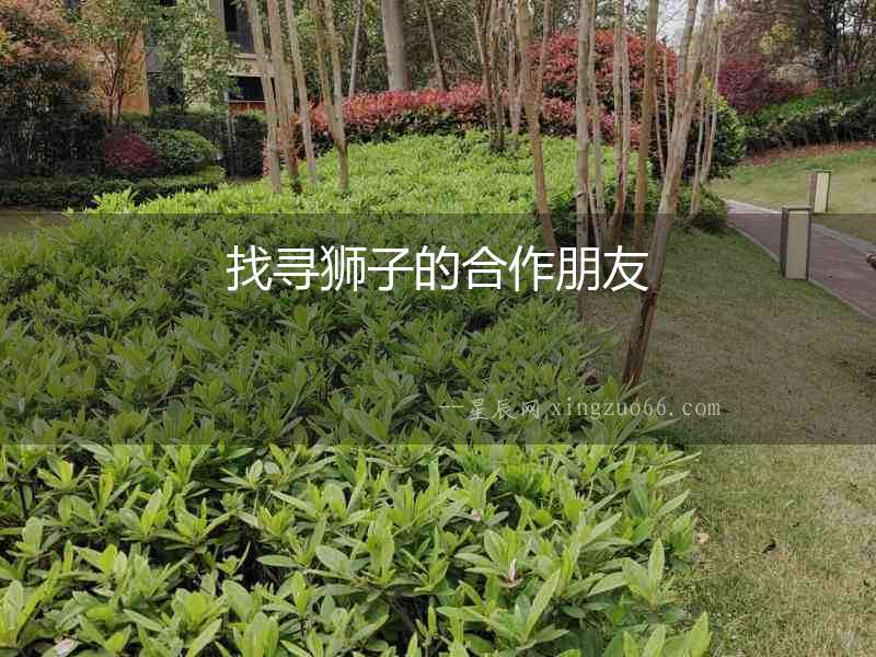 找尋獅子的合作朋友