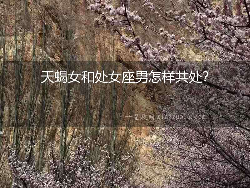 天蝎女和處女座男怎樣共處？