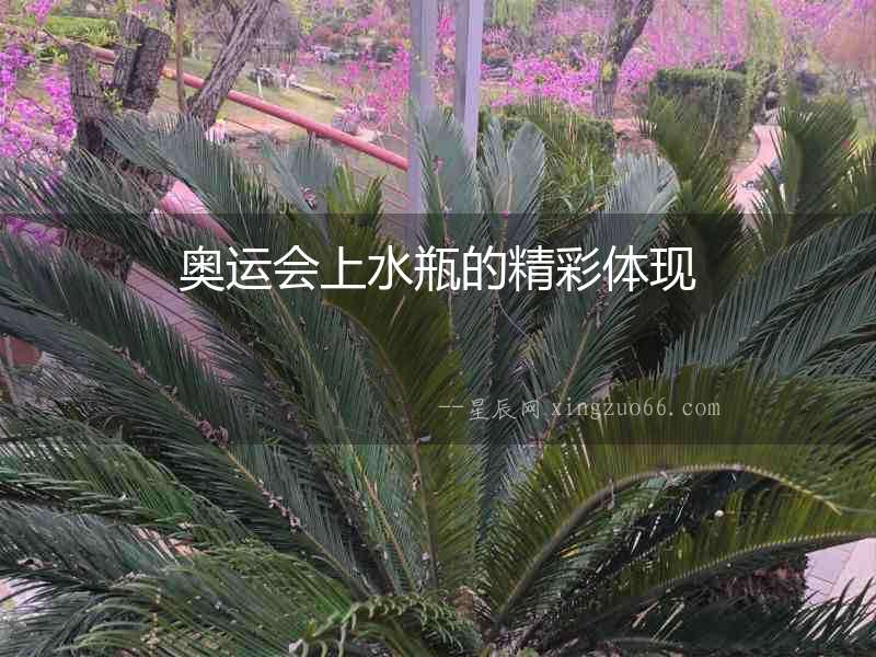 奧運(yùn)會(huì)上水瓶的精彩體現(xiàn)