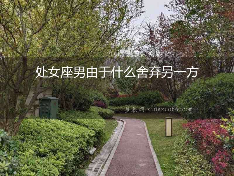 處女座男由于什么舍棄另一方