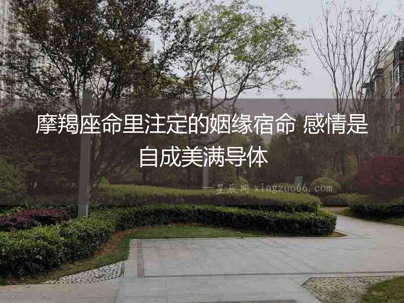 摩羯座命里注定的姻緣宿命 感情是自成美滿導(dǎo)體