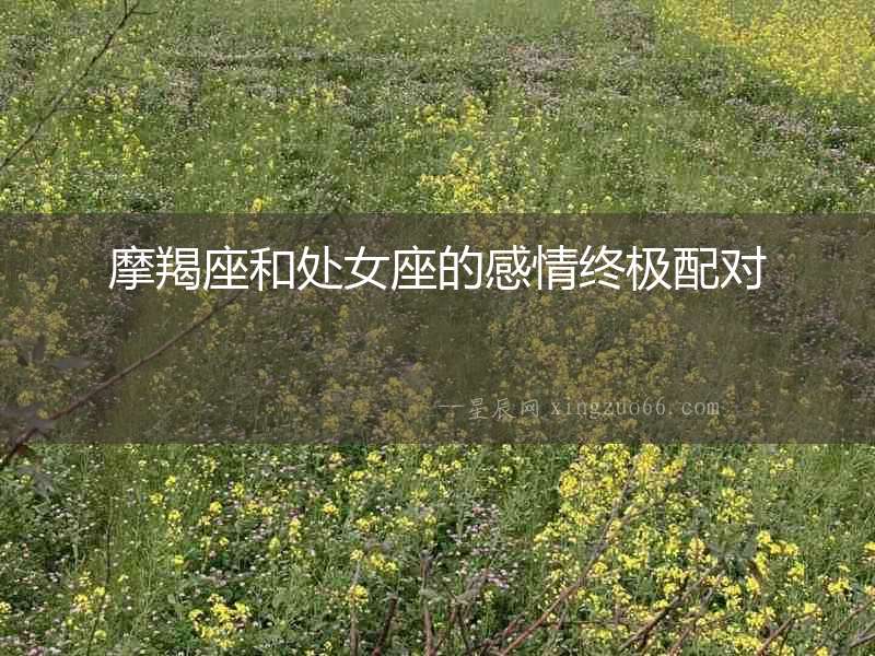摩羯座和處女座的感情終極配對