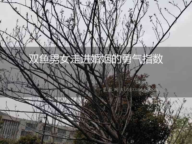 雙魚男女走進婚姻的勇氣指數(shù)