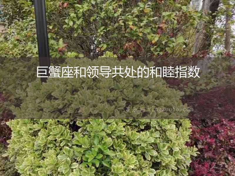 巨蟹座和領導共處的和睦指數