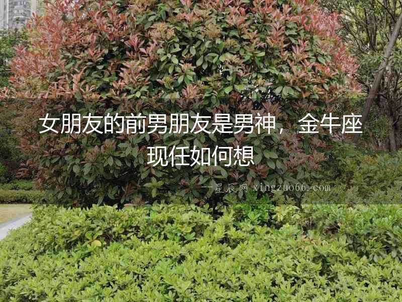女朋友的前男朋友是男神，金牛座現(xiàn)任如何想
