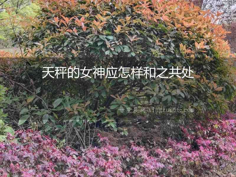 天秤的女神應怎樣和之共處