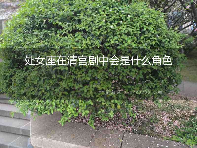 處女座在清宮劇中會是什么角色