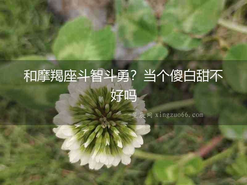 和摩羯座斗智斗勇？當(dāng)個(gè)傻白甜不好嗎