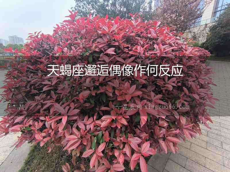天蝎座邂逅偶像作何反應(yīng)