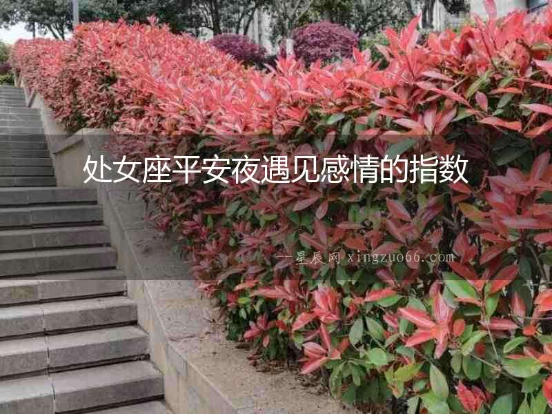 處女座平安夜遇見感情的指數