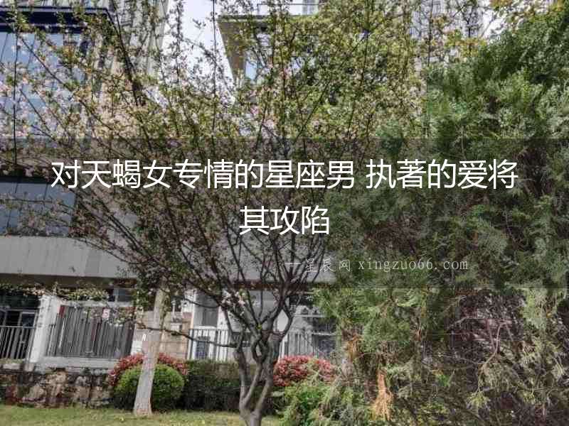 對天蝎女專情的星座男 執著的愛將其攻陷
