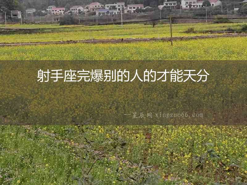 射手座完爆別的人的才能天分