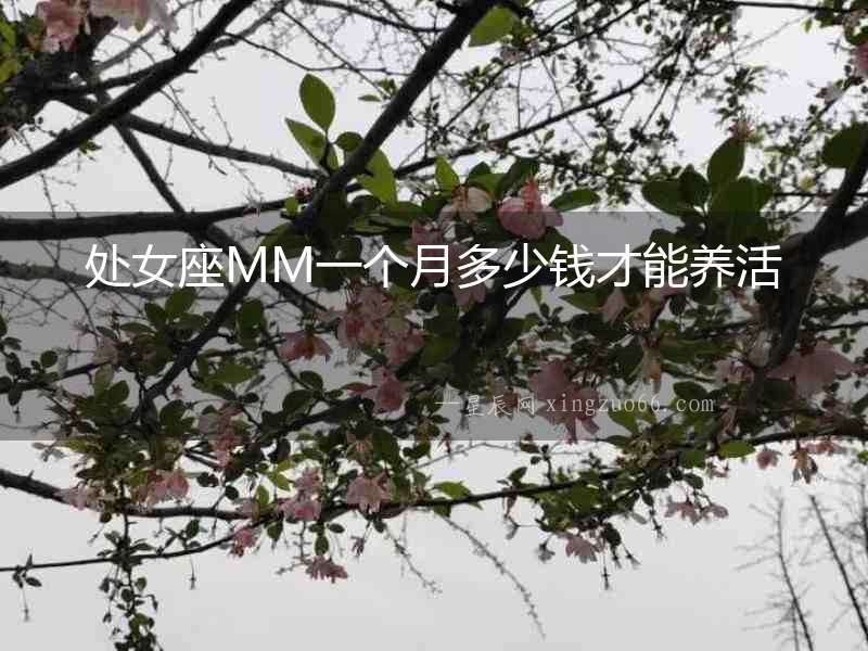 處女座MM一個月多少錢才能養活