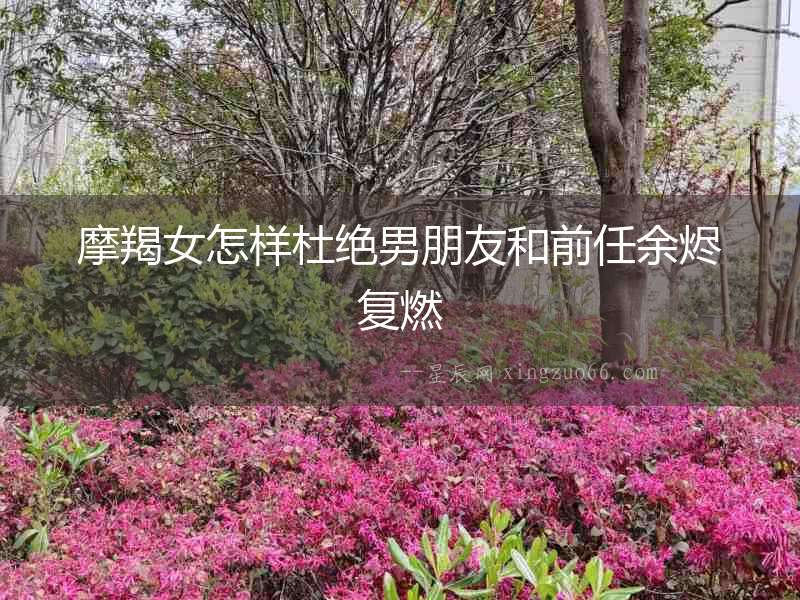 摩羯女怎樣杜絕男朋友和前任余燼復燃