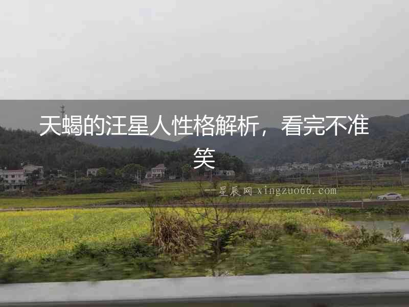 天蝎的汪星人性格解析，看完不準笑