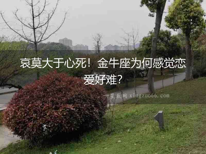 哀莫大于心死！金牛座為何感覺戀愛好難？