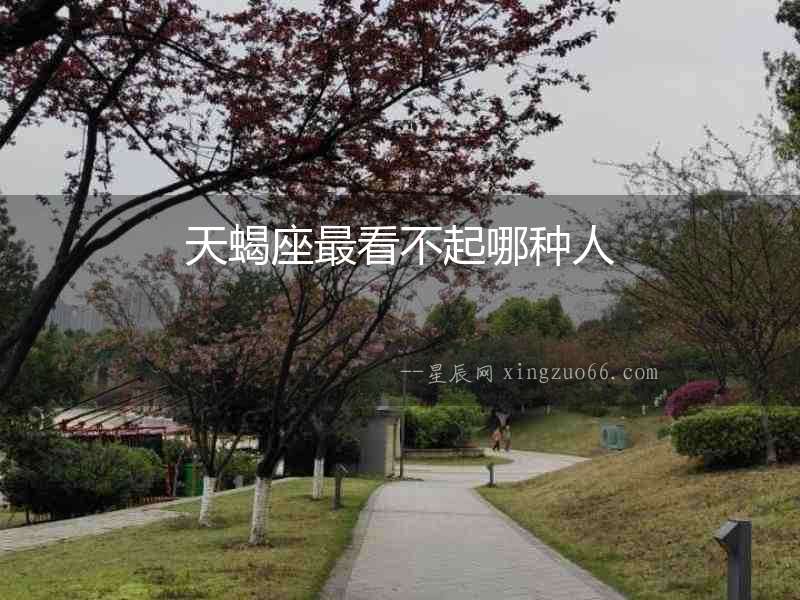 天蝎座最看不起哪種人