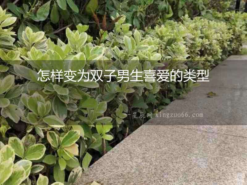 怎樣變為雙子男生喜愛的類型