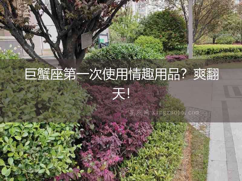 巨蟹座第一次使用情趣用品？爽翻天！