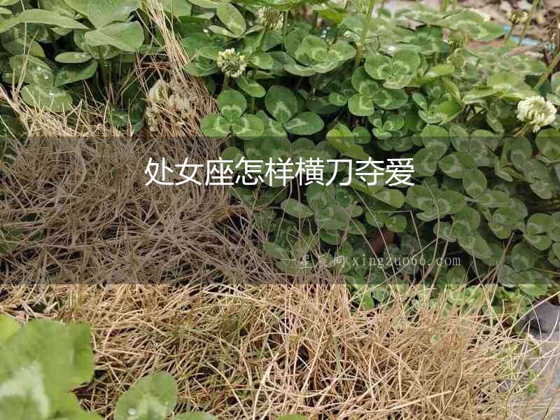 處女座怎樣橫刀奪愛