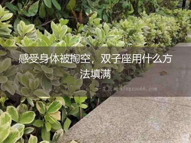 感受身體被掏空，雙子座用什么方法填滿(mǎn)