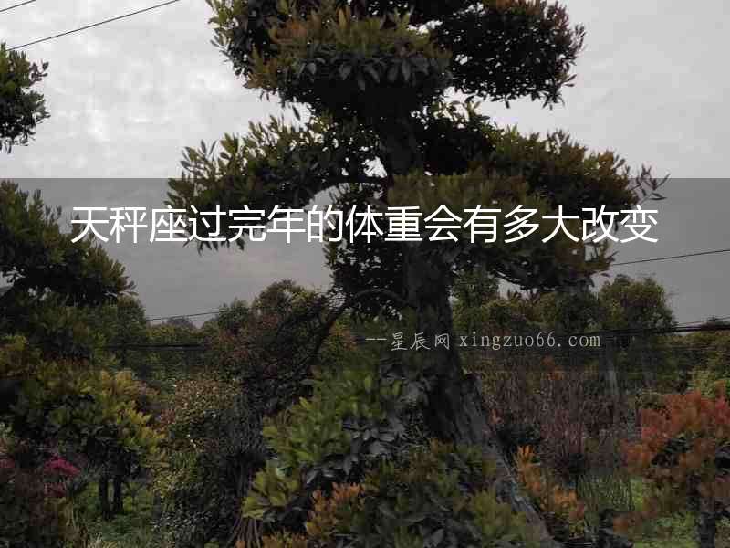 天秤座過完年的體重會有多大改變