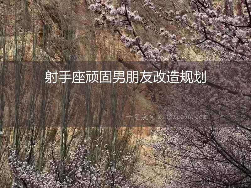 射手座頑固男朋友改造規劃