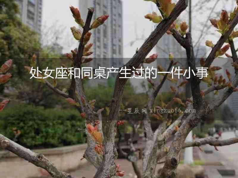 處女座和同桌產(chǎn)生過的一件小事
