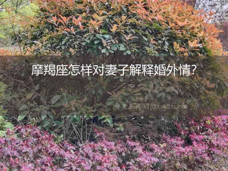 摩羯座怎樣對(duì)妻子解釋婚外情？