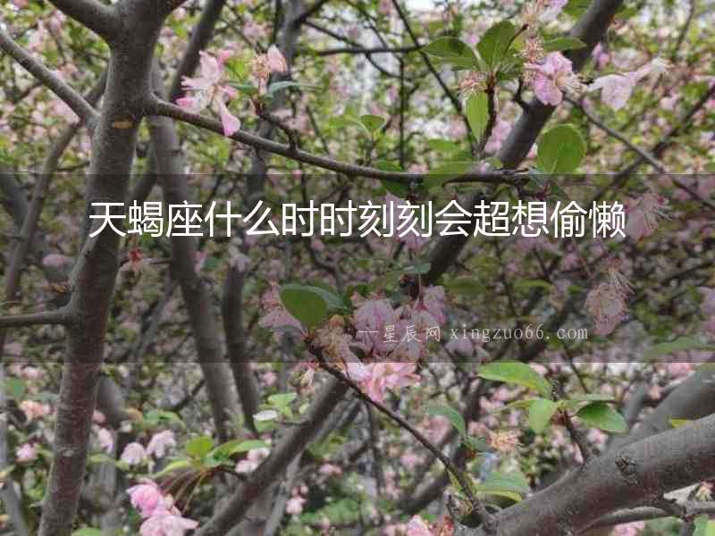 天蝎座什么時時刻刻會超想偷懶