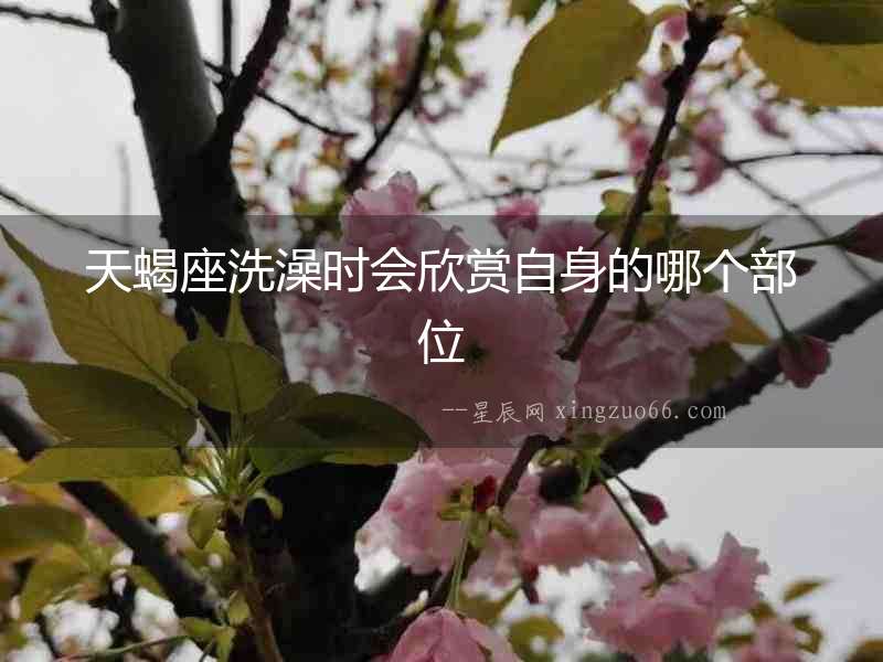 天蝎座洗澡時(shí)會欣賞自身的哪個部位