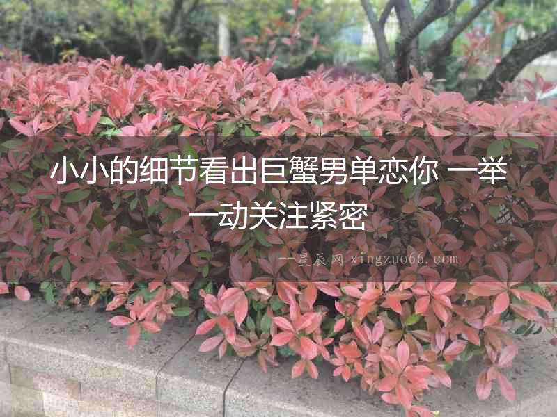 小小的細節看出巨蟹男單戀你 一舉一動關注緊密