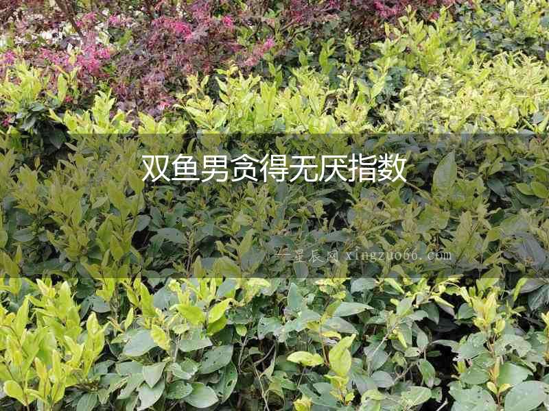 雙魚男貪得無厭指數