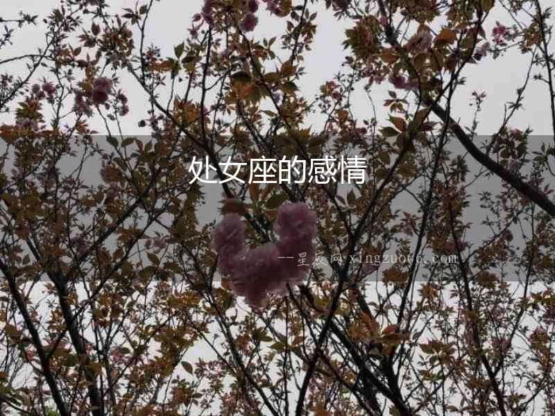 處女座的感情