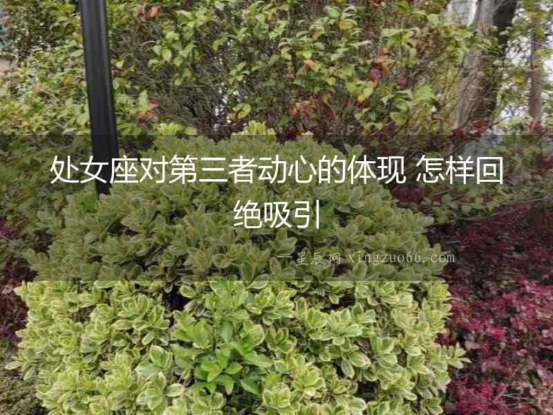 處女座對第三者動心的體現 怎樣回絕吸引